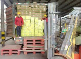 &#38647;&#31454;&#25216;&#40;&#20013;&#22269;&#41;&#23448;&#26041;&#32593;&#31449;&#45;&#30331;&#24405;&#20837;&#21475;